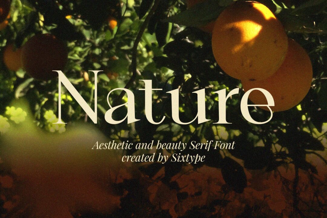 aesthetic beauty serif font