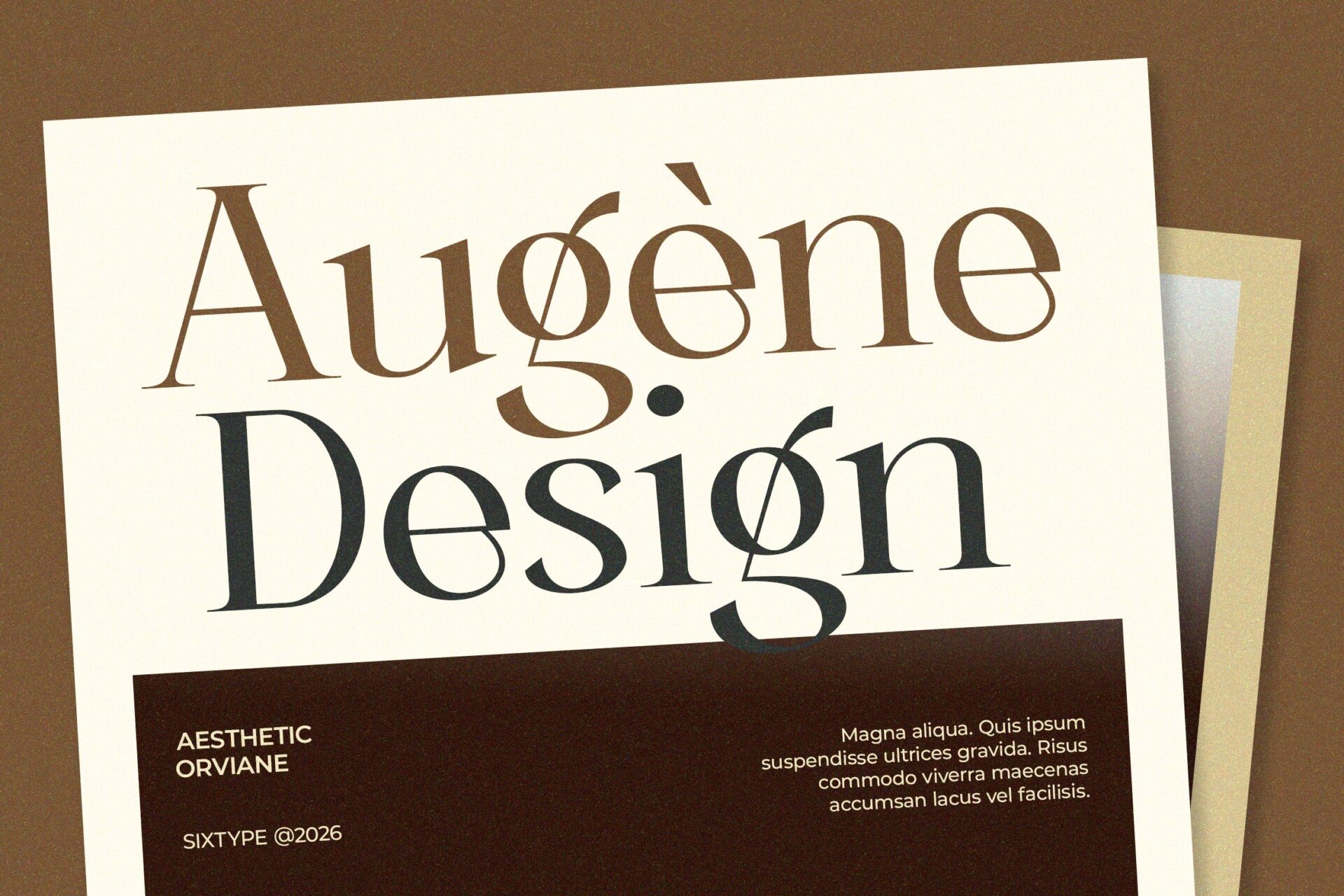 aesthetic beauty serif font
