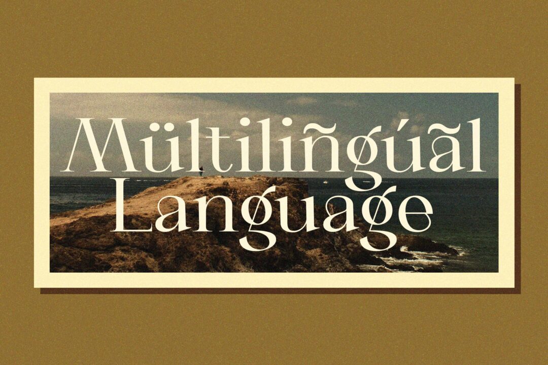 aesthetic beauty serif font