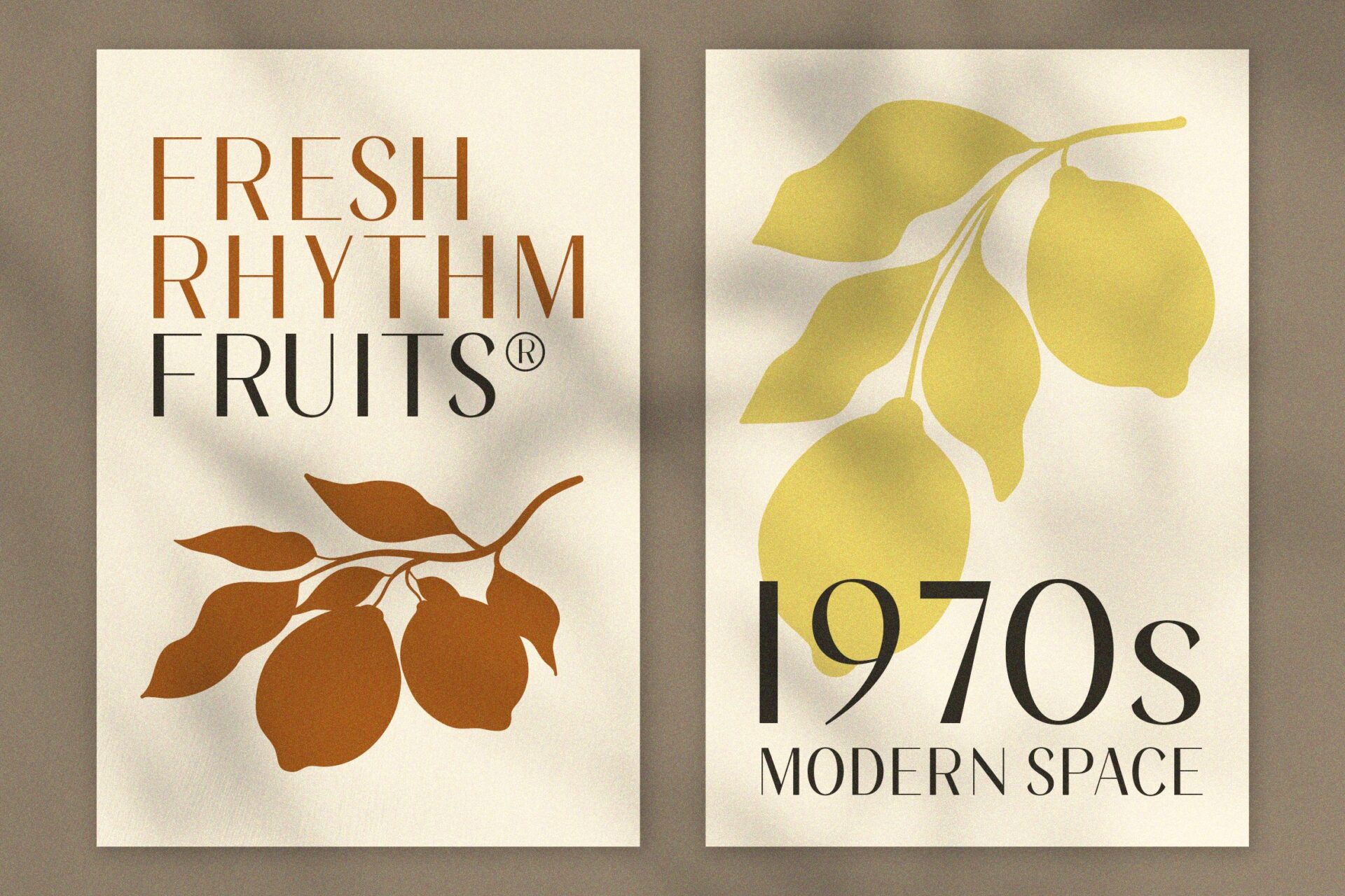 aesthetic elegant sans font