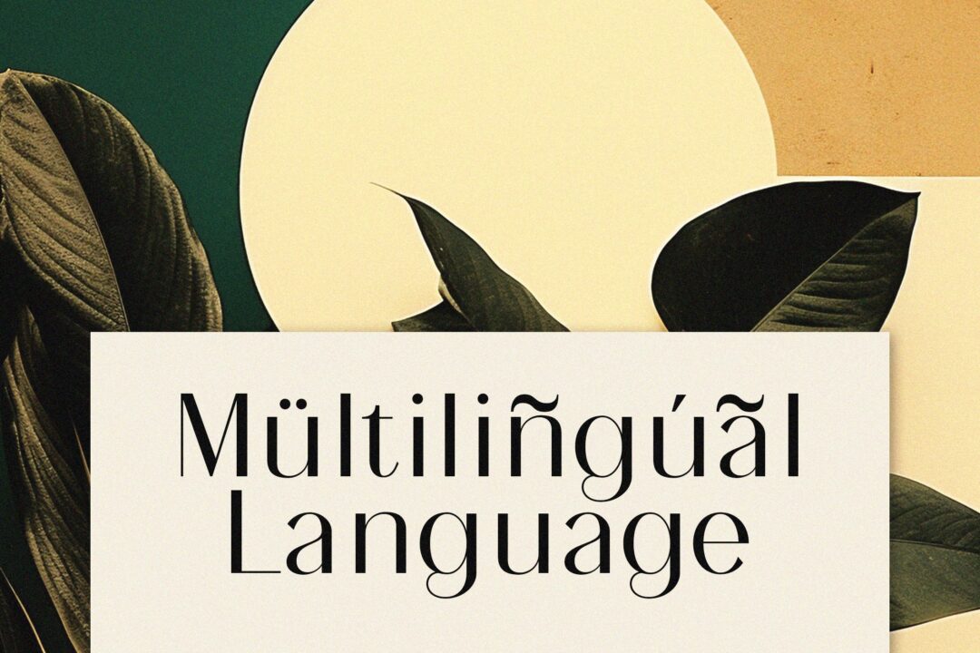 aesthetic elegant sans font