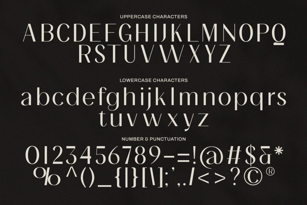 aesthetic elegant sans font