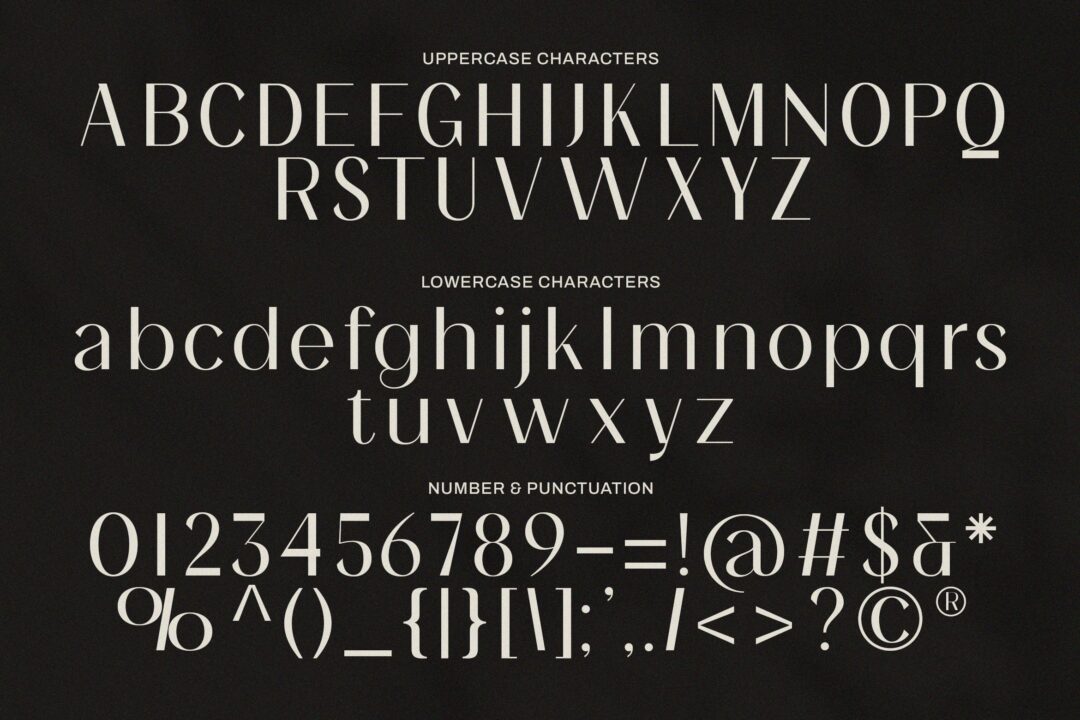 aesthetic elegant sans font