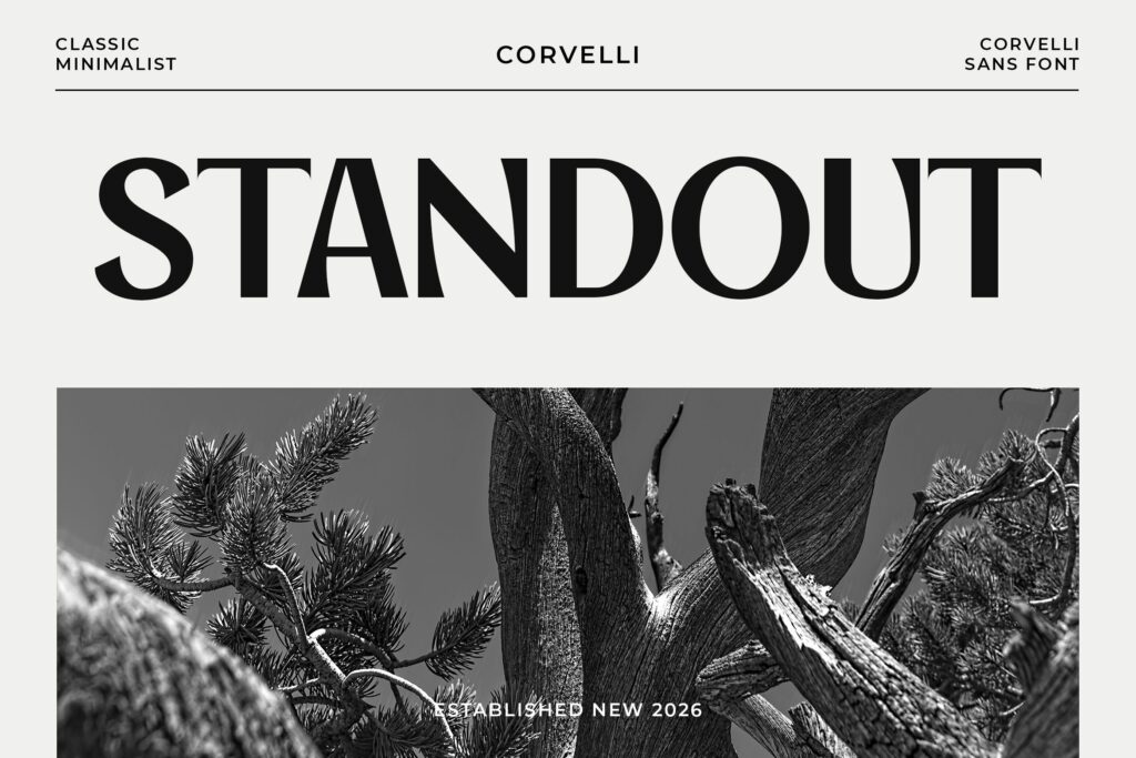 minimalist sans font