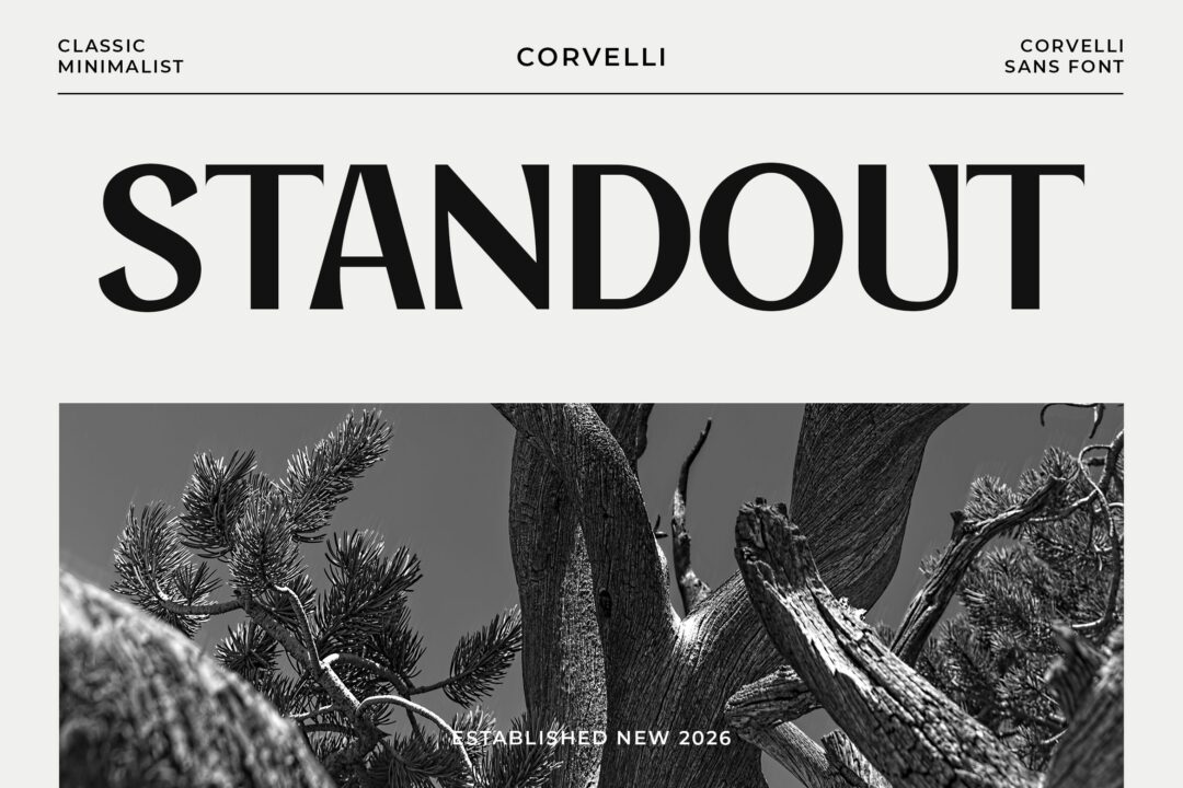 minimalist sans font