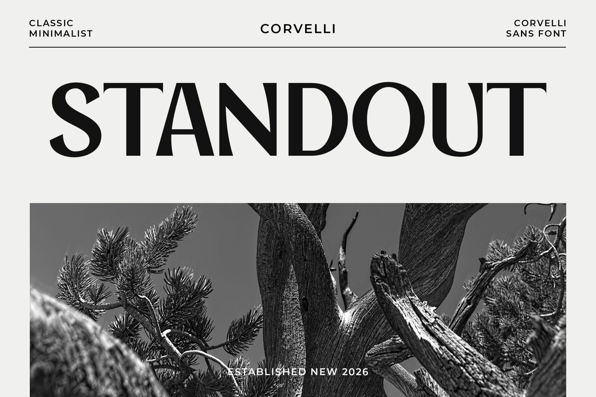 minimalist sans font