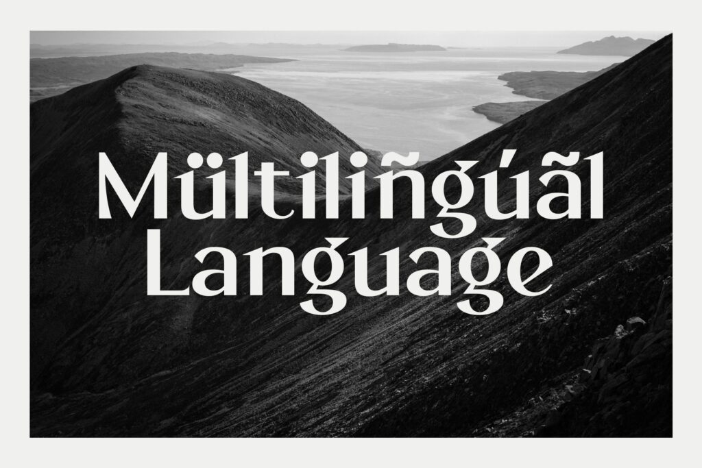 minimalist sans font