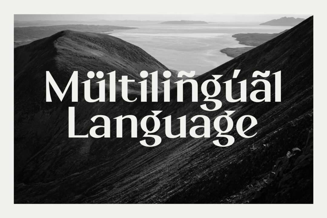 minimalist sans font