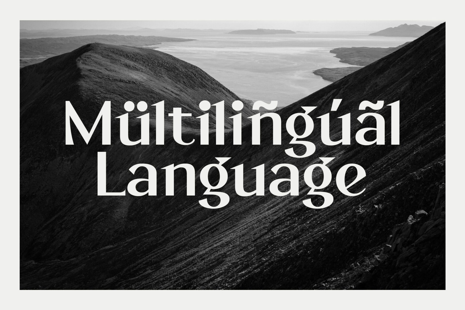 minimalist sans font