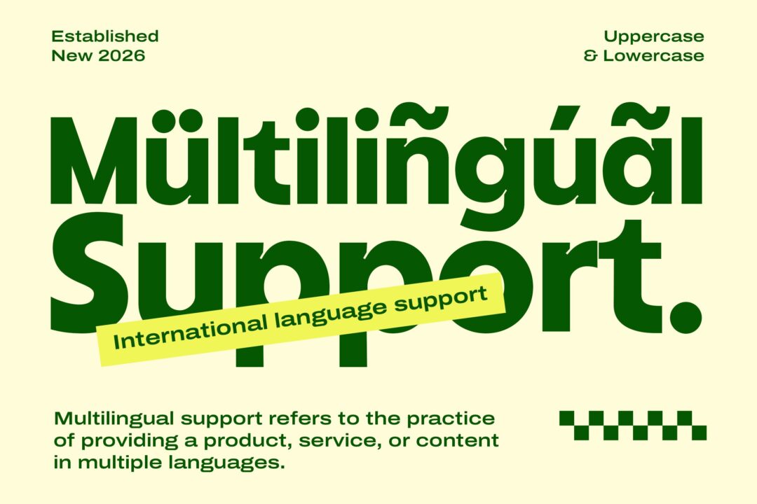 sans bold retro display