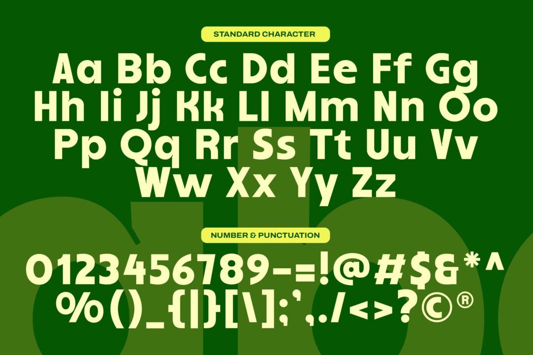 sans bold retro display