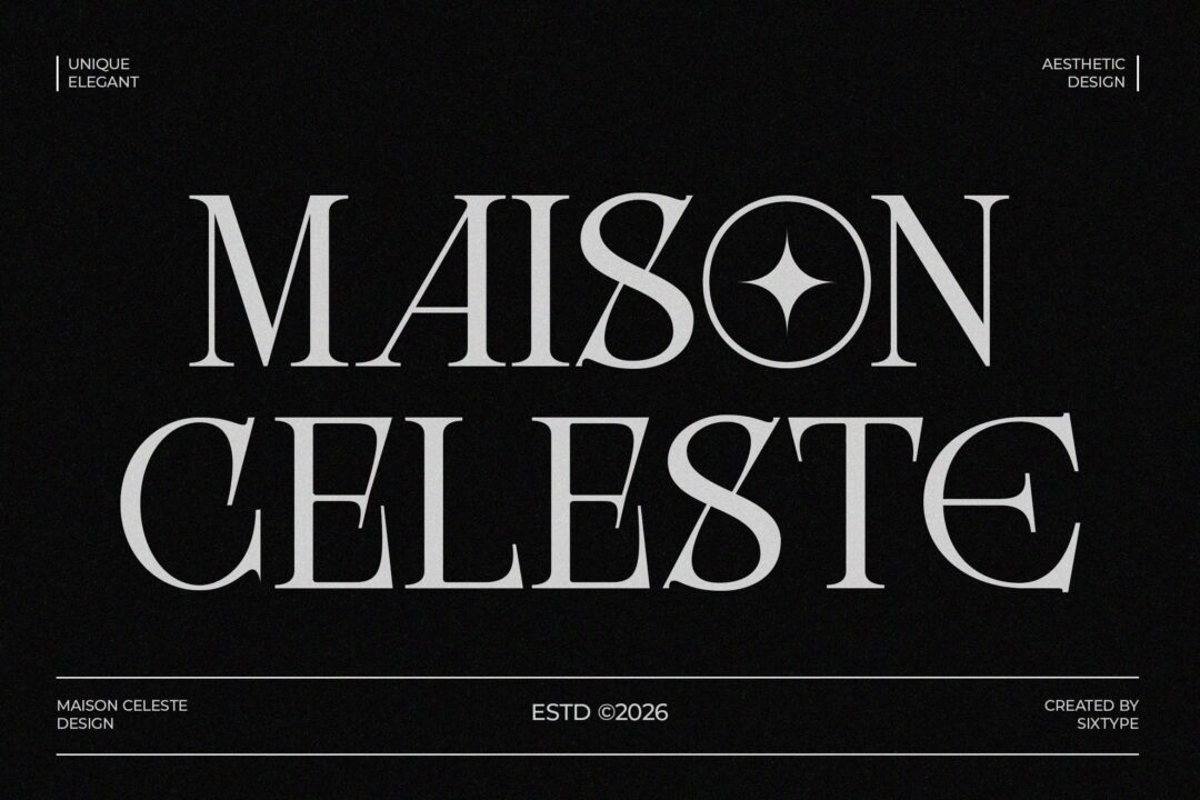 unique elegant serif font