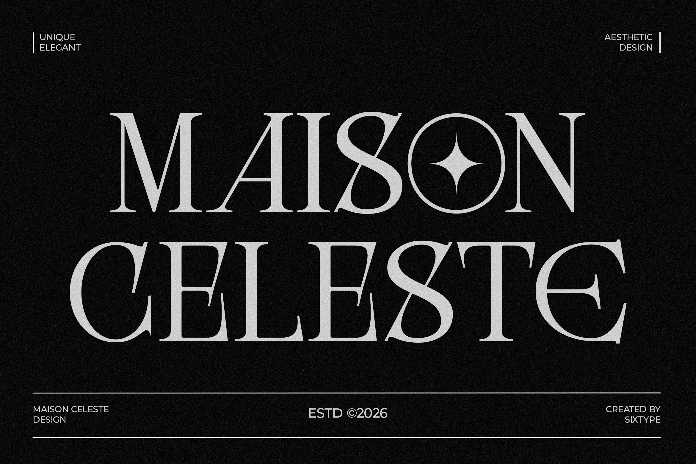 unique elegant serif font