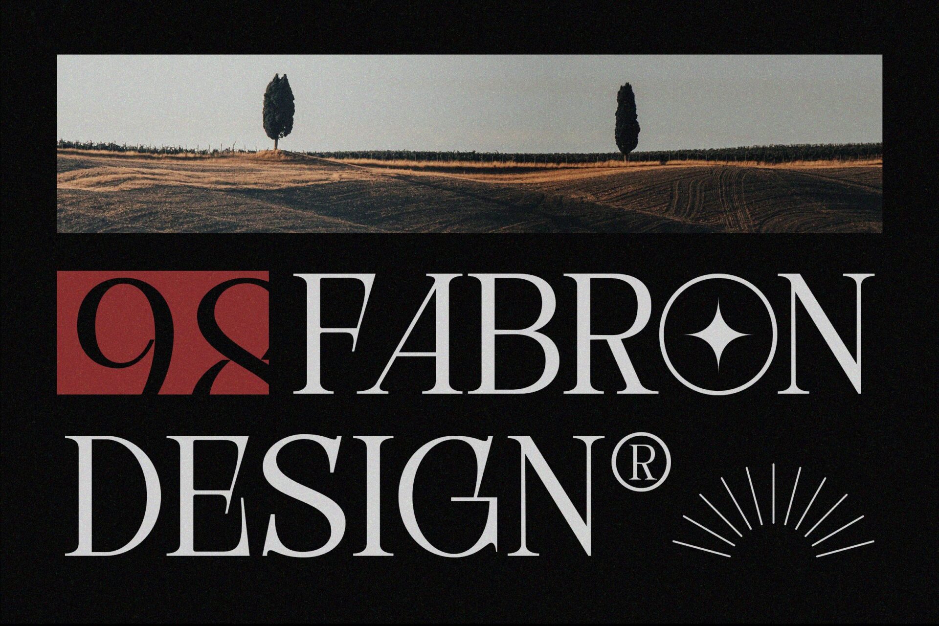 unique elegant serif font