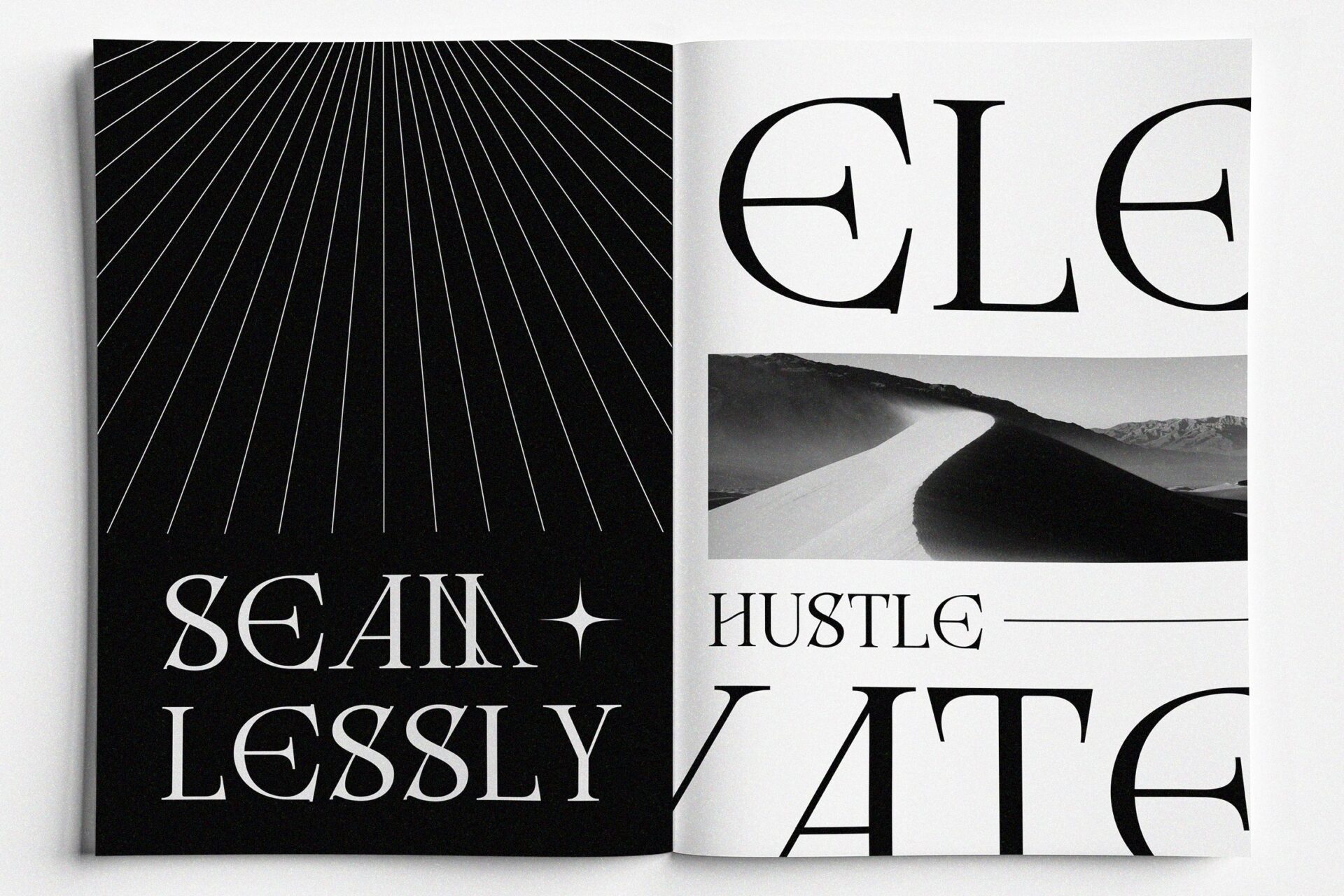 unique elegant serif font