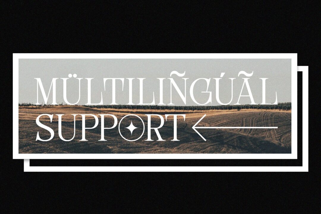 unique elegant serif font