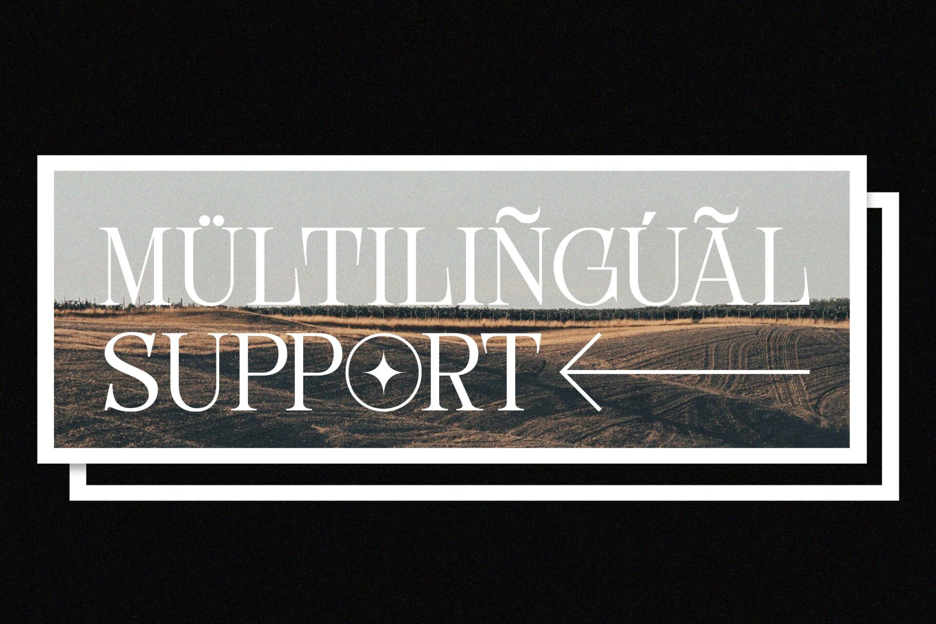 unique elegant serif font