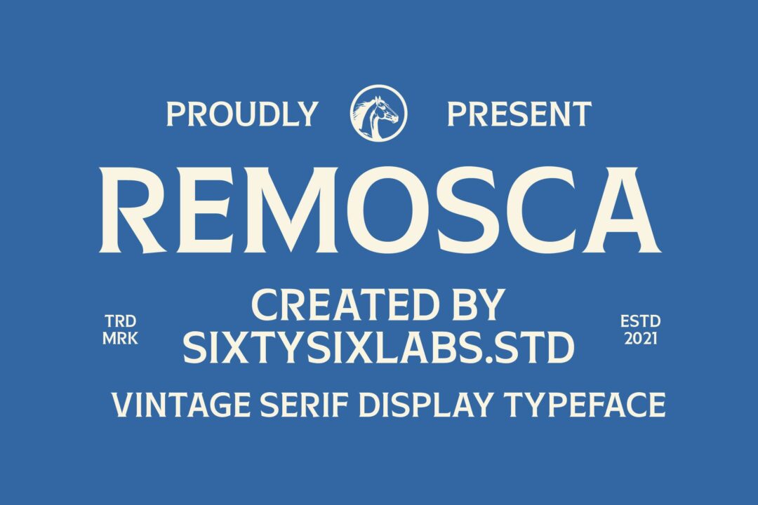 vintage serif display font