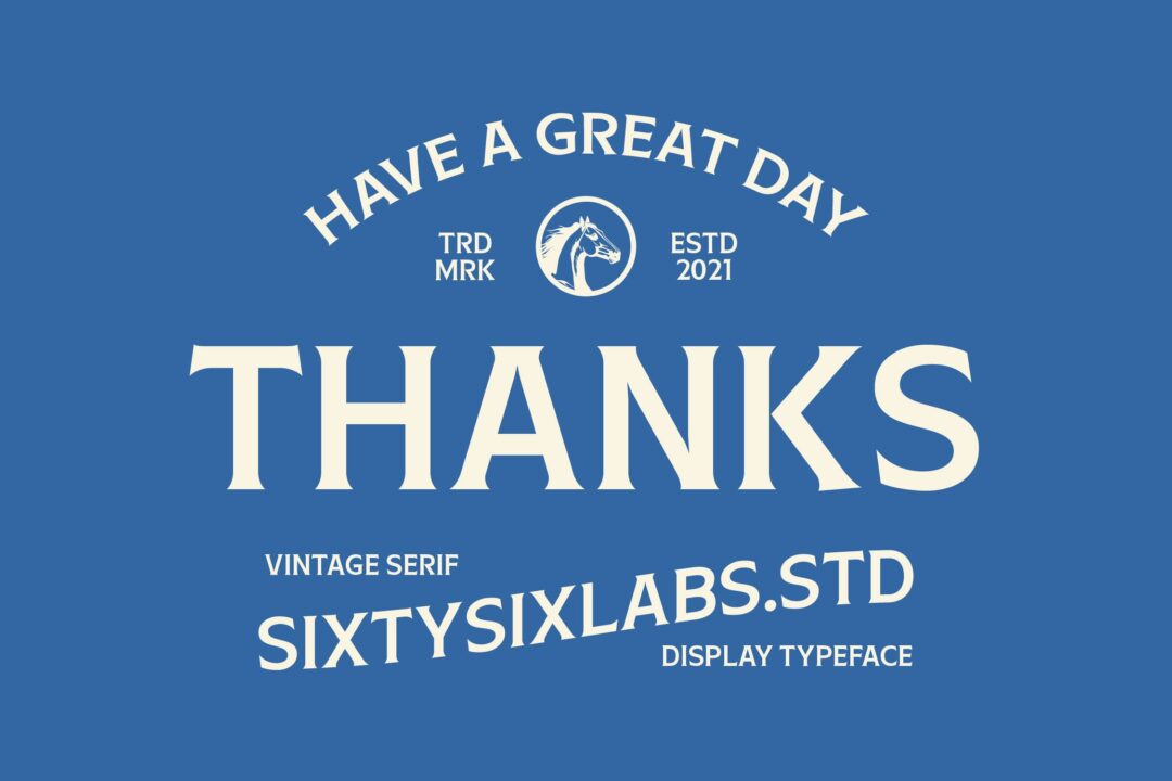 vintage serif display font