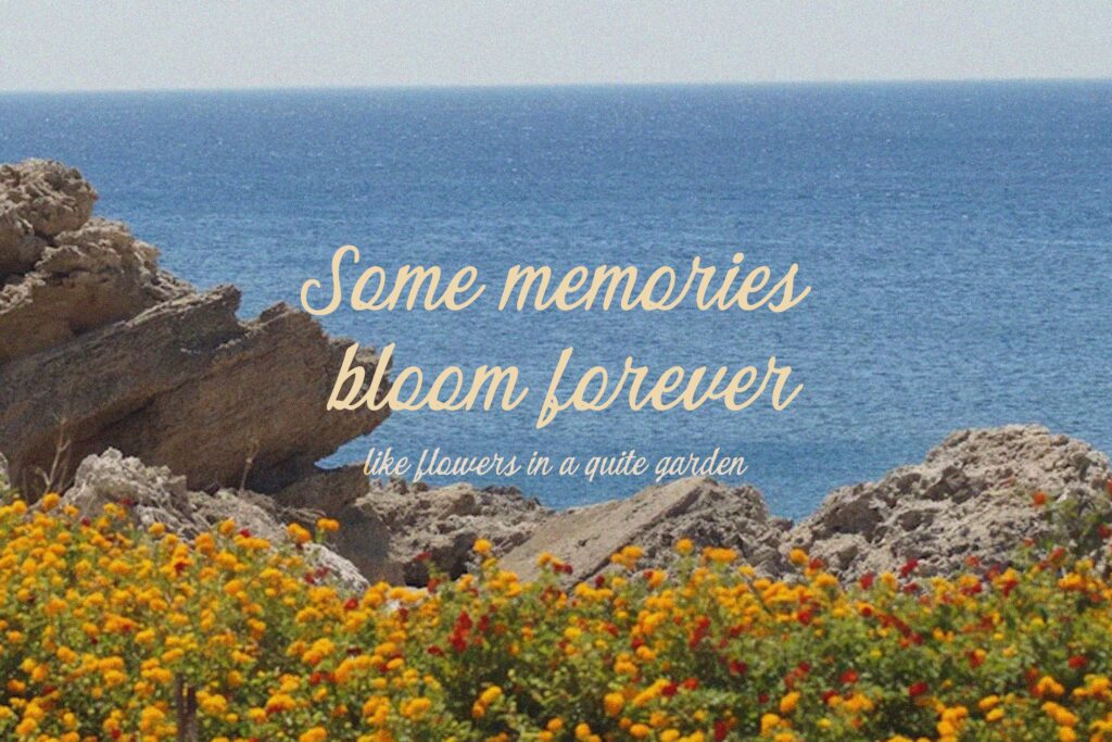 Quiet Garden Font Duo Retro Whimsy